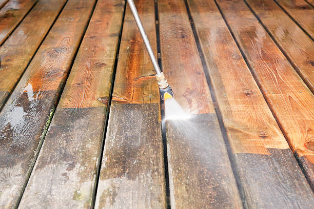 Best Gutter Cleaning  in Wayne, OH